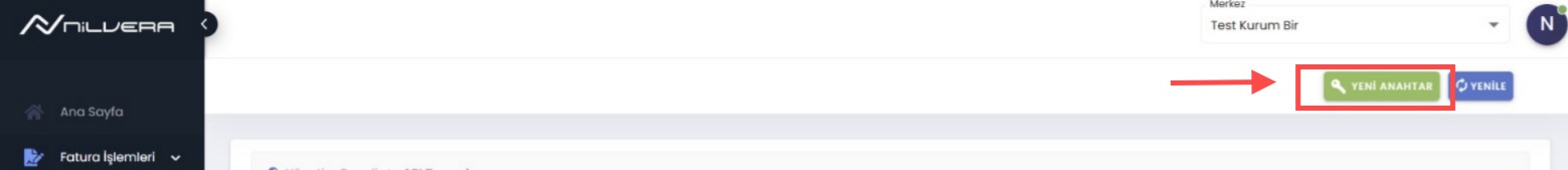 Görsel 2: API Tanımlamaları Sayfası