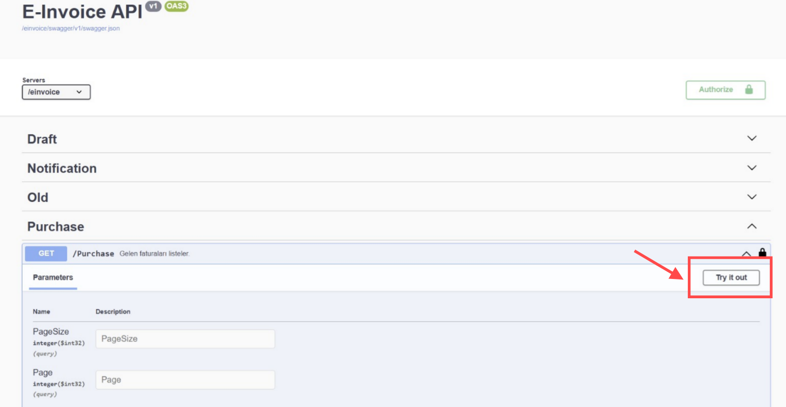 Görsel 9: Try it out ekranı