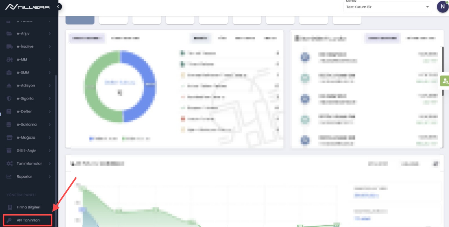 Görsel 1: Sol menüde API Tanımları alanı