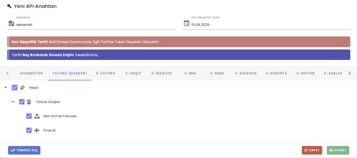Görsel 4: Yetki (scope) seçim ekranı