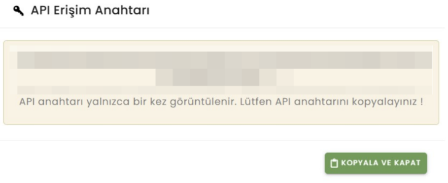 Görsel 5: Oluşturulan API Key ekranı