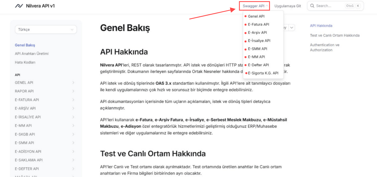 Görsel 6: Swagger API ekranına gidiş